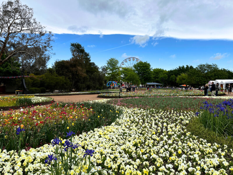 キャンベラのフロリアード（Floriade）